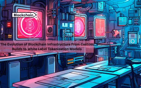 The Evolution of Blockchain Infrastructure From Custom Builds to White ...