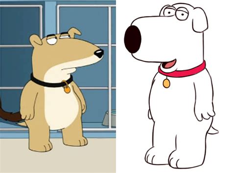 Family Guy: Brian Griffin dies after being hit by a car | The Independent
