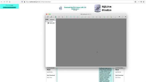 SQLite Studio Tutorial 的图像结果