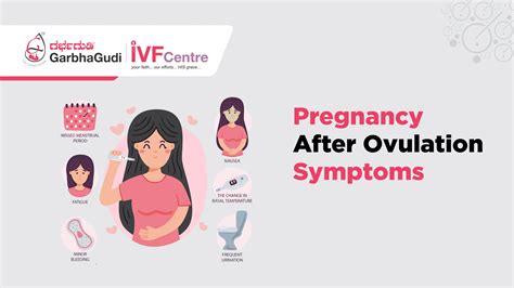 Pregnancy After Ovulation Symptoms – Early Signs to Know