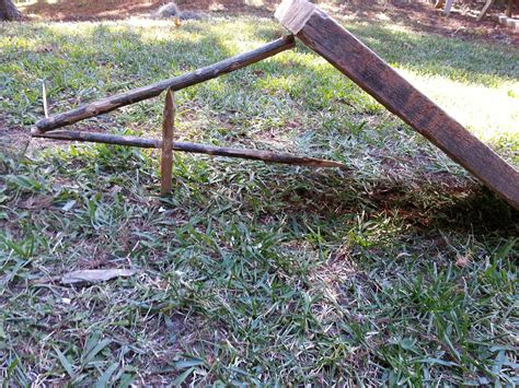 Primitive Spring Trap 的图像结果