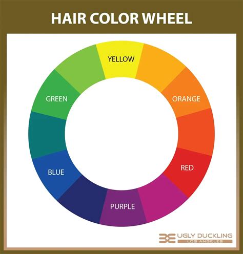 The Hair Color Wheel Explained - The Secrets of Color Neutralization ...
