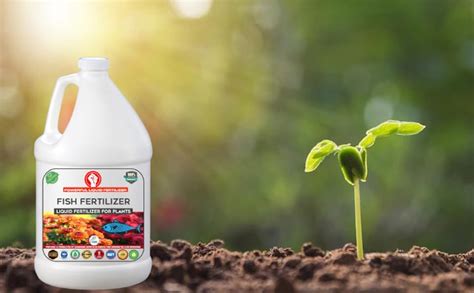 Erwon® Liquid Fish Meal Fertilizer, Essential Odourless organic ...