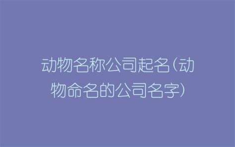 动物名称公司起名(动物命名的公司名字) - 星梦国学