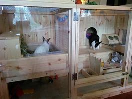 Image result for Easter Bunnies House