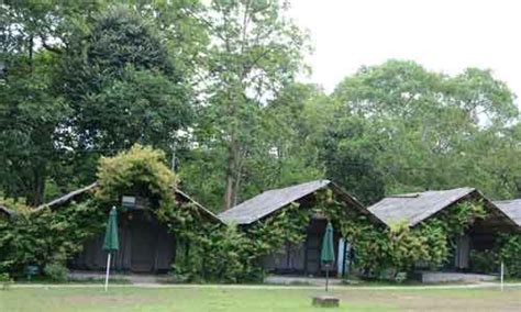 Top 10 Must-Visit Places in Dandeli for Nature Lovers