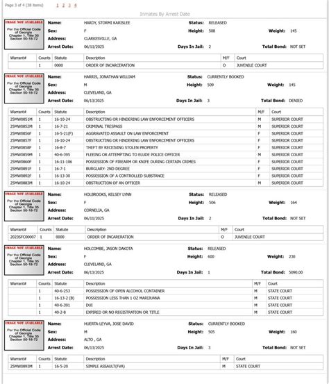 Habersham County Sheriff's Office Arrest Report 6/8- 6/15/2025 ...