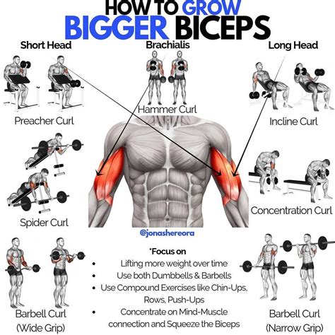 ꜱᴀᴠᴇ ɪᴛ ꜰᴏʀ ʟᴀᴛᴇʀ - 𝙏𝘼𝙂 𝘼 𝙁𝙍𝙄𝙀𝙉𝘿 𝙏𝙃𝘼𝙏... | Dumbbell bicep workout ...