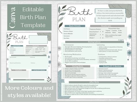 Editable Birth Plan Template | Printable Birthing Plan | Labour and Delivery Preferences ...
