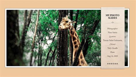 Photo Slider Tutorial 的图像结果