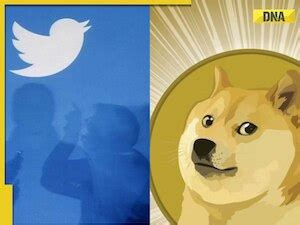 Elon Musk changes Twitter’s bluebird to ‘Doge’ icon, netizens begin ...