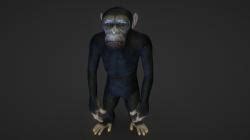 Image result for Simio Extras Library