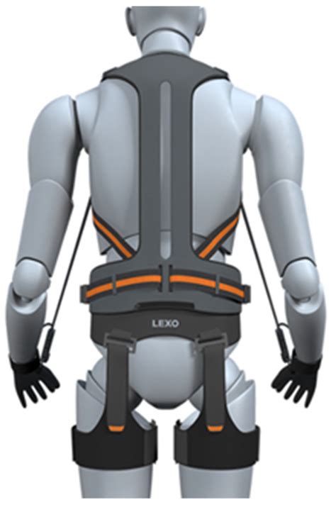 Effect of Wearable Exoskeleton Robots on Muscle Activation and Gait ...