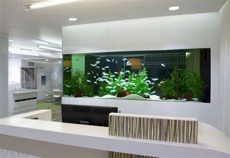 6 Best Wall Mounted Aquarium 2024: Review & Buyer's Guide