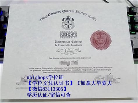 【学位文凭认证书】《加拿大毕索大学毕业证成绩单》《ubishops毕业证文凭》经济学毕业证制作 - 蓝玫留学机构