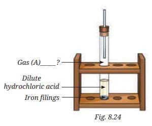 NCERT Textbook Solutions: Nature of Matter: Elements, Compounds, and ...