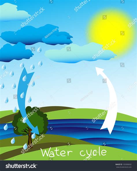 Simple Clear Diagram Water Cycle Vector Stock Vector 105990692 ...