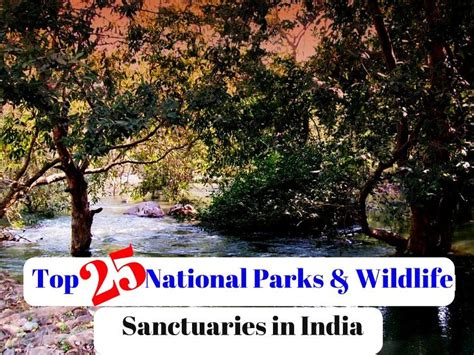 Top 25 National Parks & Wildlife Sanctuaries in India - Hello Travel Buzz