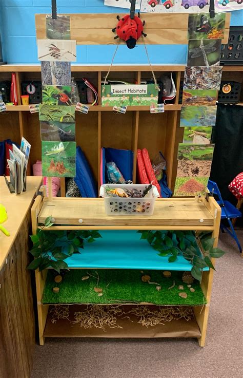 Insect habitat dramatic play – Artofit - habitat of insects