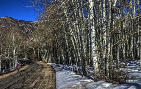 Download wallpaper bike, sport, spring, section sports in resolution ...