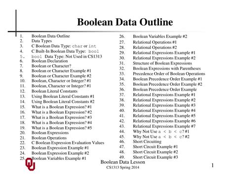 Image result for Boolean Data Example
