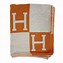 Image result for Hermes Orange Blanket