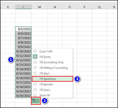 Image result for Excel AutoFill Dates