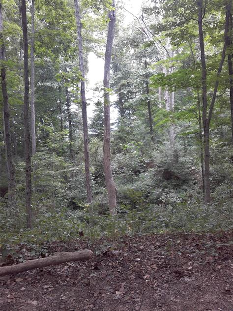 Bill Monroe Memorial Music Park & Campground | Morgantown, IN