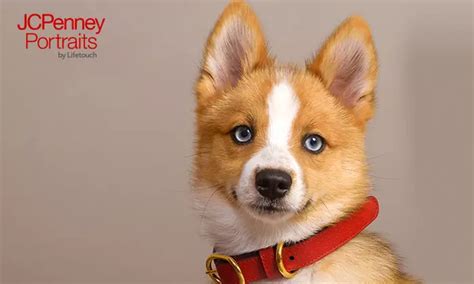 Photographers in Las Vegas - Deals Up to 70% Off | Groupon