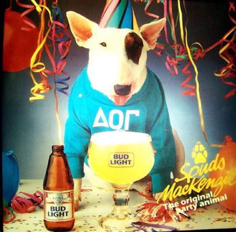 Spuds MacKenzie | Bud light, Animal party, Spud mckenzie dog