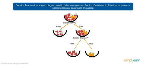 Image result for Random Forest Algorithm for Multiple Class