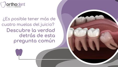 Descubre aquí la función real de las muelas del juicio