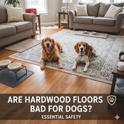 Are Hardwood Floors Bad For Dogs? Essential Safety