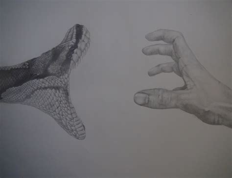 Snake Hand Tutorial 的图像结果