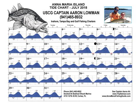 Tide Chart Anna Maria Island - Minimalist Chart Design