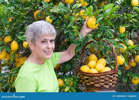 Day Brightener – Picking Lemons | Loren Berg's Blog