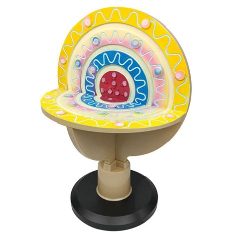 Image result for Atomic Structure Model Easy