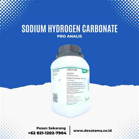 Sodium Hydrogen Carbonate - Dexatama.co.id