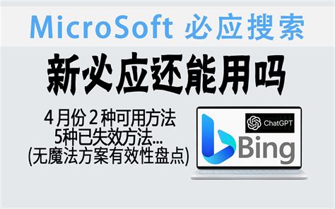 新必应 的图像结果