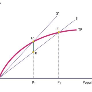 Image result for Dynamic Equilibrium Population Graph