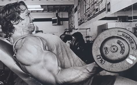 Arnold Workout Wallpaper