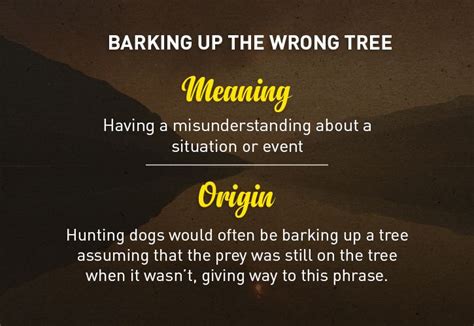 Here Are The Origin Stories Behind These 17 Phrases We Use On An ...