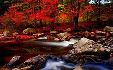 Hd Autumn Background by Autumn River Hd Wallpaper Pixelstalk Net Hd Autumn Background