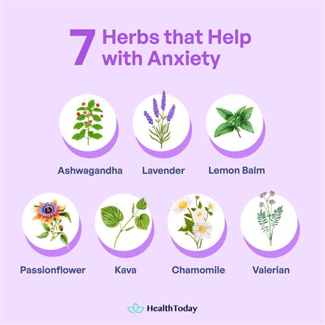 The Best Herbs That Help With Anxiety and Stress%