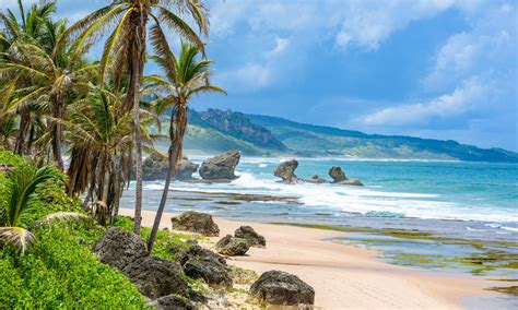 The 15 Best Things to do in Seattle in March (2025) – Wandering Wheatleys