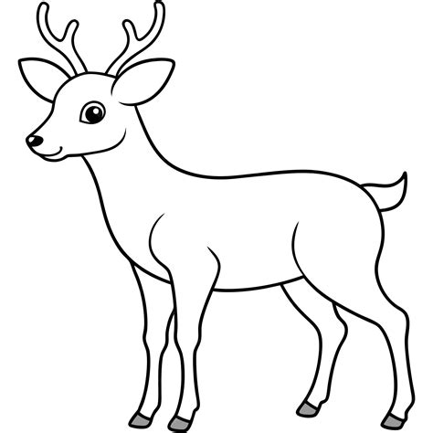 Outline Of Deer