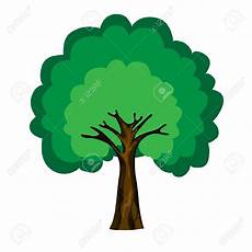 clipart alberi deciduous trees clipart 20 free cliparts images clipart alberi deciduous trees clipart 20 free cliparts images