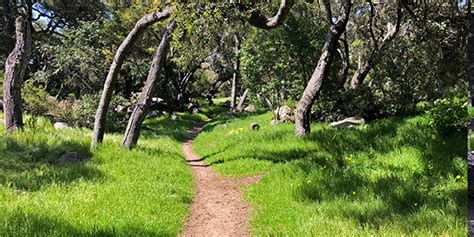 Kuvatulokset haulle rocky nook park santa barbara