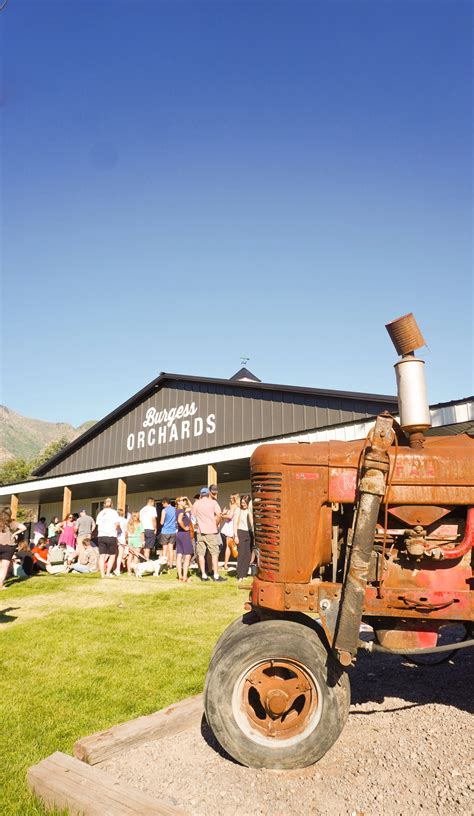 Burgess Orchards — Type Affiliated