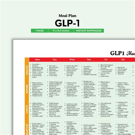 GLP-1 Meal Plan (color PDF) - Etsy